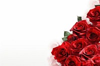 Elegant red roses bouquet