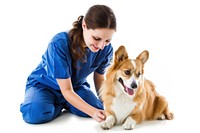 Veterinarian with happy corgi dog