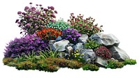 Colorful garden with blooming flowers