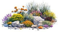 Colorful desert plant illustration