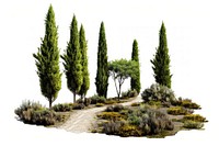 Serene Mediterranean garden landscape