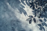 Shadowy leaves on textured wall