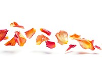 Vibrant rose petals floating gracefully