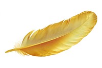 Golden feather, elegant, luxurious, delicate, shiny