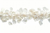 Delicate white rose petals scattered