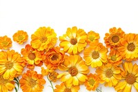 Vibrant yellow-orange floral arrangement