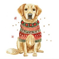 Golden retriever wearing festive sweater