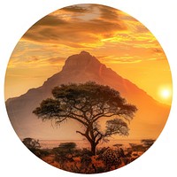 Sunset over African savannah landscape