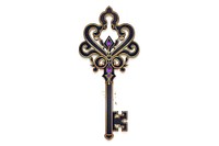 Elegant ornate vintage key illustration