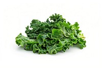 Fresh green kale leaves isolated