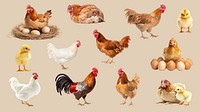 Chicken farm animal element set