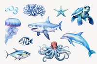 Watercolor sea life element set