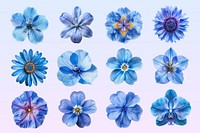 blue flower design element set