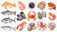 watercolor seafood design element set