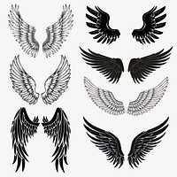 Wing illustration element set