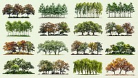 Group of trees design element set