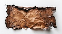 Aged burnt crumpled parchment paper