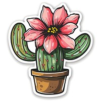 Vibrant cactus flower illustration