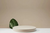 Minimalist podium with green leaf