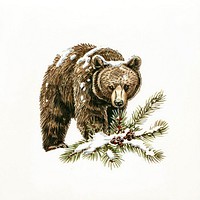 Bear in snowy forest illustration