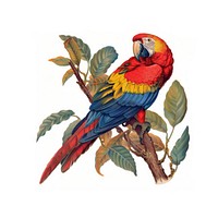 Vibrant parrot on tree branch