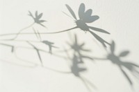 Delicate floral shadows on wall