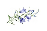 Delicate watercolor bluebell flowers