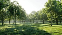 Serene forest with sunlight rays