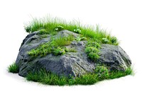 Natural rock with lush vegetation