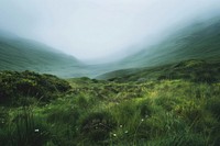 Misty green valley landscape