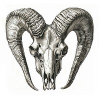 Intricate ram skull illustration