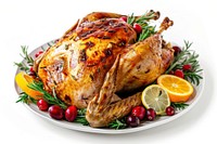 Delicious roasted turkey with garnishes