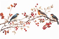 Birds perched on berry branches