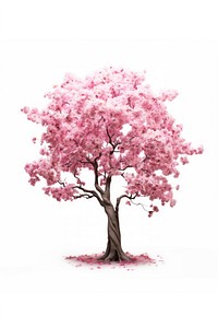 Cherry blossom tree flower plant.