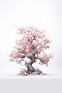 Cherry blossom tree flower plant art.