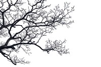 Top view silhouette branches illustrated drawing sketch.