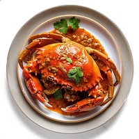 Spicy crab dish garnished beautifully.