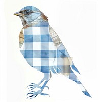 Bird collage cutout bluebird animal jay.