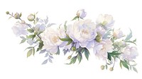 Coquette Peony border art graphics painting.