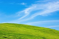 Vibrant green hill landscape