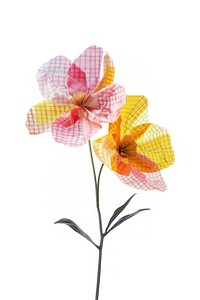 Colorful checkered paper flowers illustration