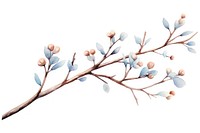 Winter tree branch watercolor illustrated blossom drawing.