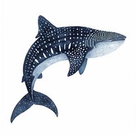 Whale Shark whale shark animal.