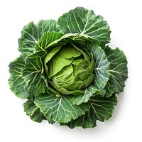 Cumins vegetable produce cabbage.