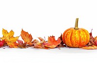 Autumn leaves pumpkin seasonal decoration