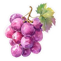 Vibrant watercolor grape illustration