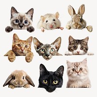 Peeking animals design element set