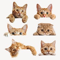 Peeking cats design element set