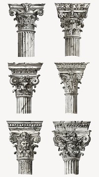 Vintage corinthian illustration design element set