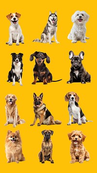 Dog sitting  design element set